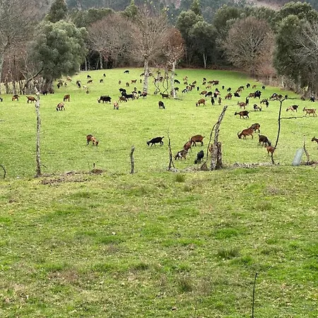 홀리데이파크 Casa D' Alem Turismo E Natureza - Refugio Do Valouto Torneiro