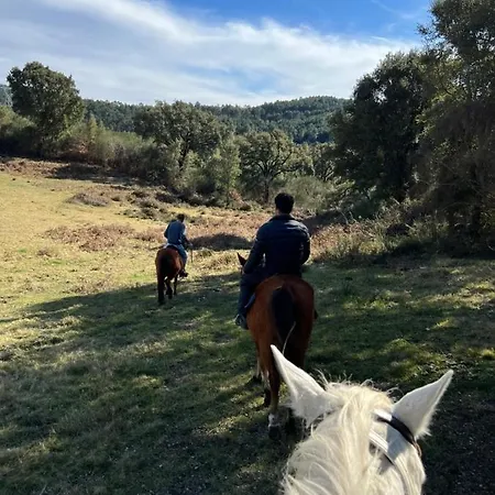 Casa D' Alem Turismo E Natureza - Refugio Do Valouto *