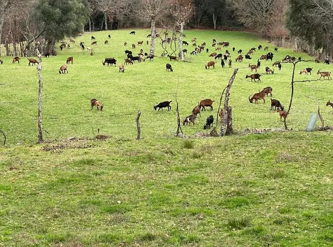 Parco vacanze Casa D' Além Turismo E Natureza - Refúgio Do Valouto Torneiro