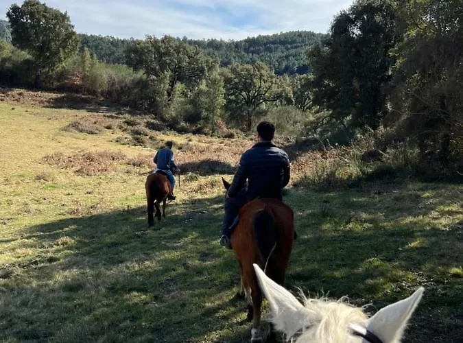 Casa D' Alem Turismo E Natureza - Refugio Do Valouto *